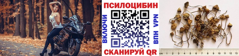 Псилоцибиновые грибы Magic Shrooms  даркнет сайт  mega рабочий сайт  Белоярский 